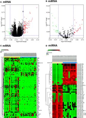 A Novel mRNA-miRNA Regulatory Sub-Network Associated With Prognosis of Metastatic Clear Cell Renal Cell Carcinoma